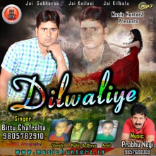 Dilwaliye 2016